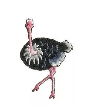 924309_1.jpg 924309_1.jpg