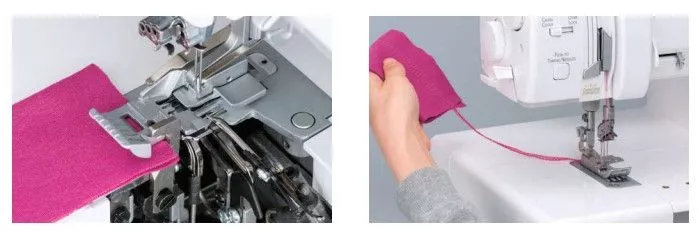 Gloria_6.jpg Gloria_6.jpg