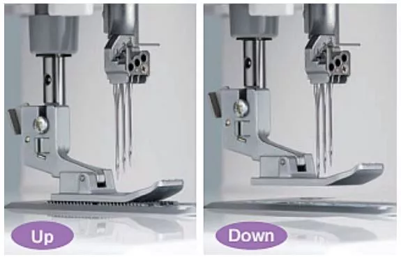 babylock-euphoria-13.JPG babylock-euphoria-13.JPG