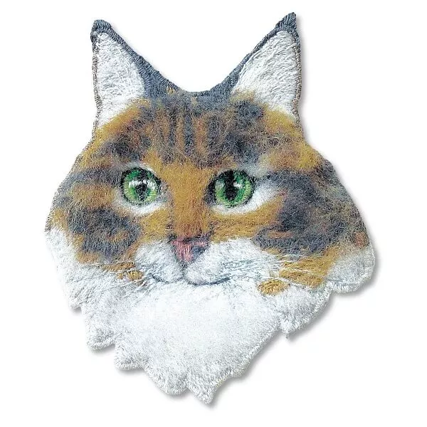 8151_4.jpeg 8151_4.jpeg