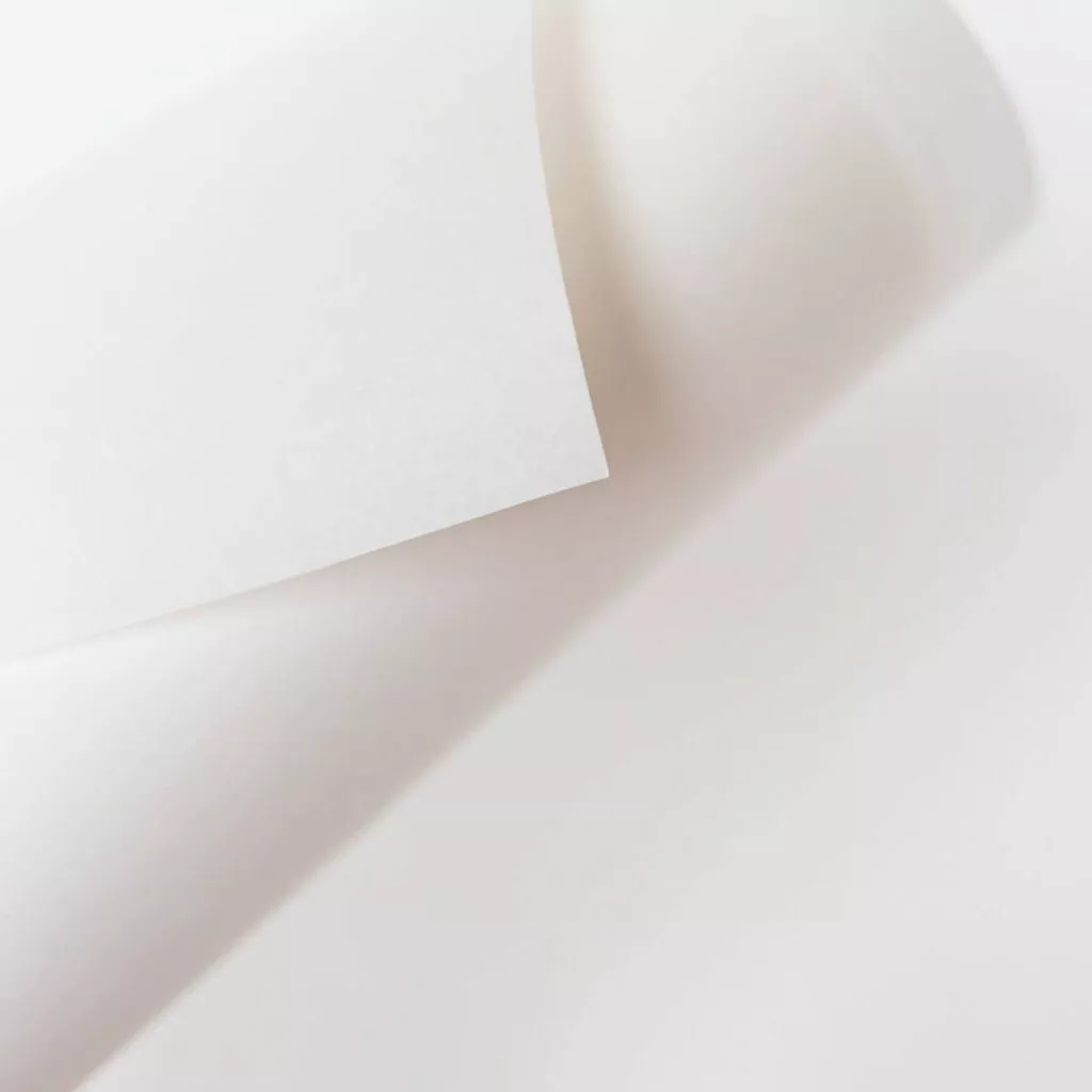 TEAR AWAY PLUS_1.jpg