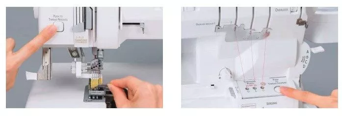 Gloria_2.jpg Gloria_2.jpg